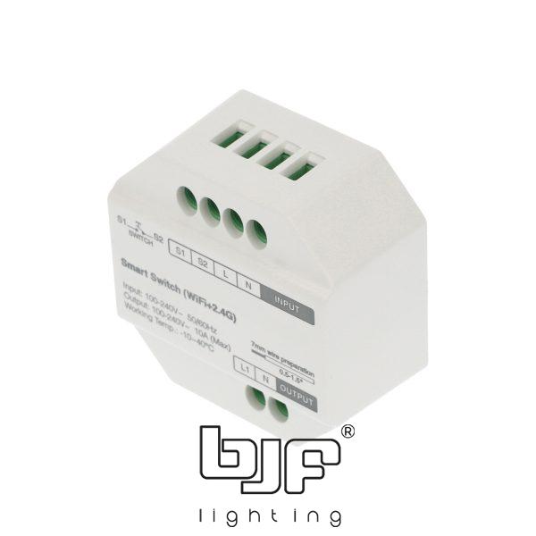 Interruptor Wifi On-Off 10A